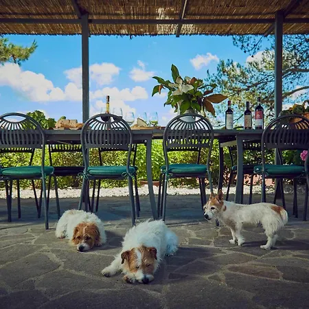 Hotel Il Poderaccio *