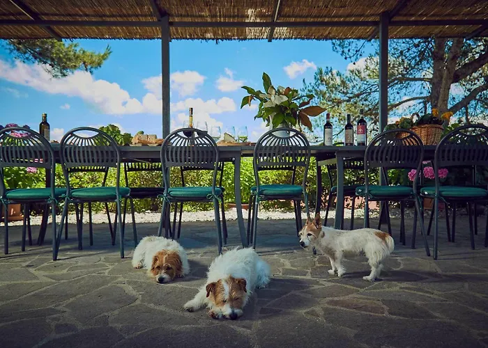 호텔 Il Poderaccio *